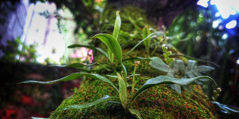 从金条投资到移动美容：汉森24K美容仪如何成为你的便携“黄金资产”