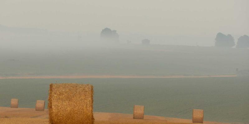 汉森24K28深度解析：黄金交易平台的创新实践与投资价值