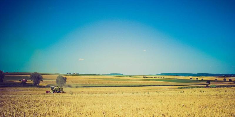 汉森24K33：解码黄金价格波动下的金饰艺术与贵金属投资新视角