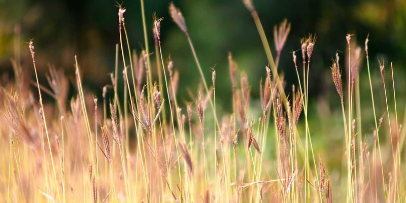 汉森24K37:重新定义黄金珠宝的纯度与美学