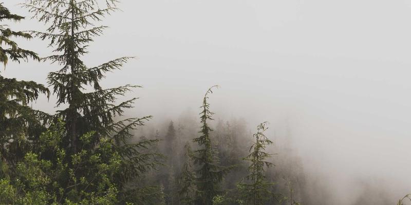 汉森24K54：黄金投资与珠宝美学的双重价值解析