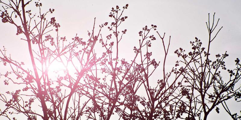 汉森24K64：揭秘高纯度金币在黄金交易与资产配置中的独特价值