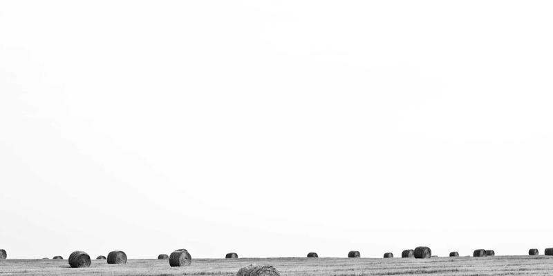 汉森24K73：重新定义黄金珠宝的艺术与投资价值