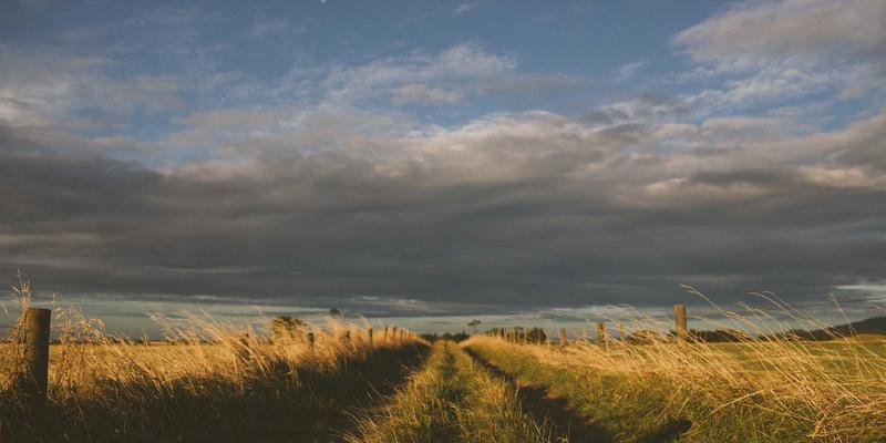 汉森24K96：解码高纯度黄金的投资价值与美学魅力