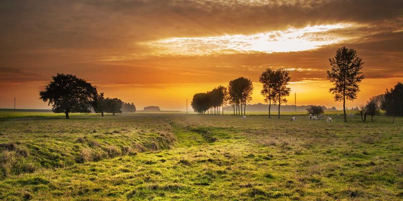 汉森24K美容仪射频功能原理科普：深入真皮层的“黄金热效应”与贵金属投资的跨界启示