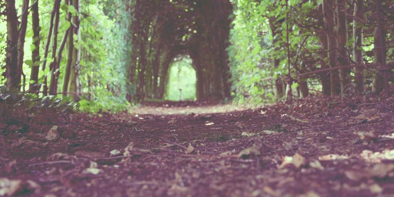 汉森24K美容仪搭配面膜黄金敷法：解锁水光肌的“黄金投资”策略