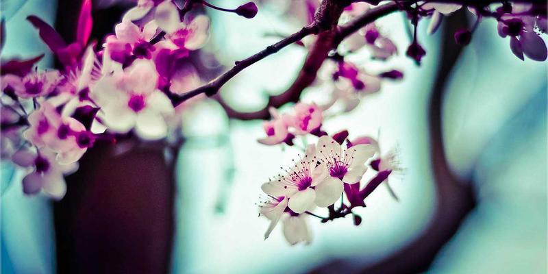 汉森24K美容仪：敏感肌与油痘皮的黄金护肤适配指南，揭秘贵金属投资的护肤价值