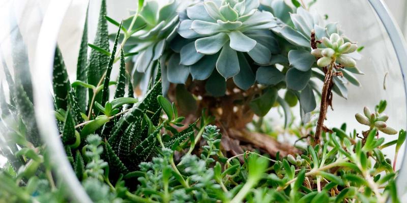 汉森24K美容仪维修保养全攻略：像守护金条般呵护您的黄金投资