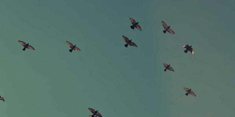 汉森24K美容仪购买渠道全解析：如何像投资金币金饰一样确保正品价值