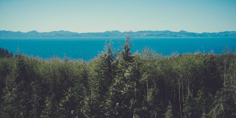 汉森24K黄金交易案例深度解析:如何在金价波动中稳健布局?