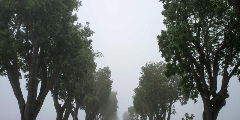 长期使用汉森24K射频仪：法令纹的黄金修复与黄金珠宝般的投资价值