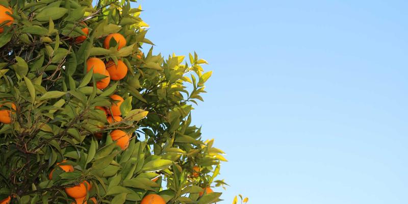 黄金交易新思路：从金币投资到肌肤“镀金”，汉森24K美容仪与纯金护肤品深度评测