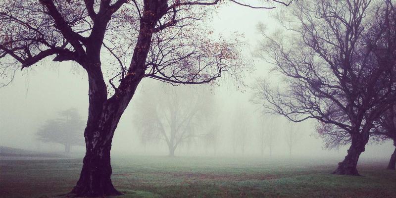 黄金美容新纪元：汉森24K微电流与黄金导入如何协同促进胶原蛋白再生？